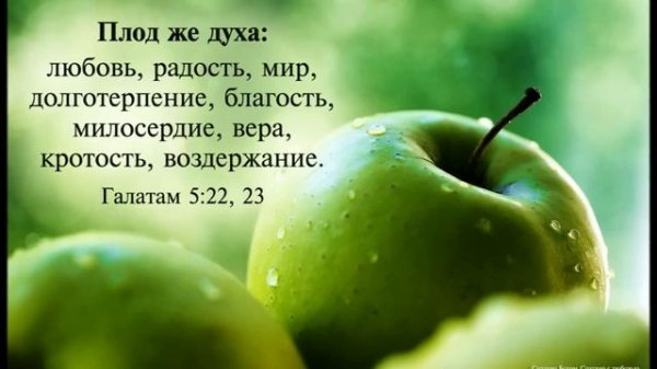 Пред Тобою я склонюсь в тишине / церковь: "Сила веры"