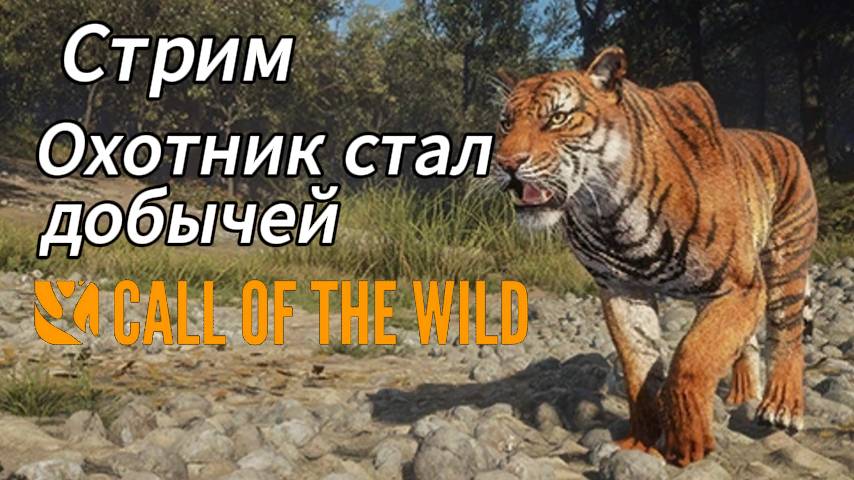 Охота на тигров в Сундарпатане. theHunter: Call of the Wild смотреть онлайн