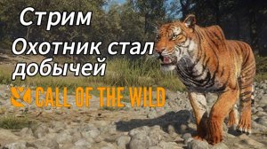 Охота на тигров в Сундарпатане. theHunter: Call of the Wild