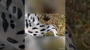 3 серия сериала «Держись»💗