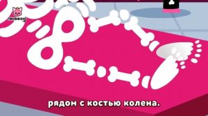 Учиться Вместе | Песни про Части Тела и Космос | +Сборник | Пинкфонг Песни для Детей