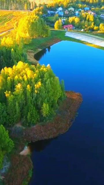 Тимошкино смотреть онлайн