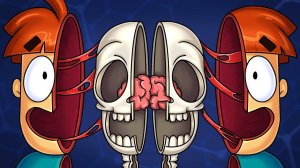 Как чувствует себя твой мозг в разных ситуациях?