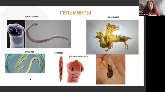 Паразиты- скрытая причина болезней!