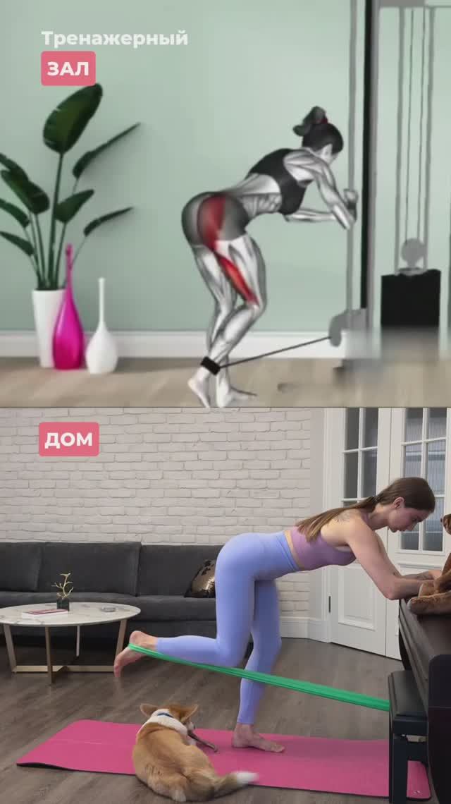 Зал VS домашние тренировки: что выбираете вы? смотреть онлайн