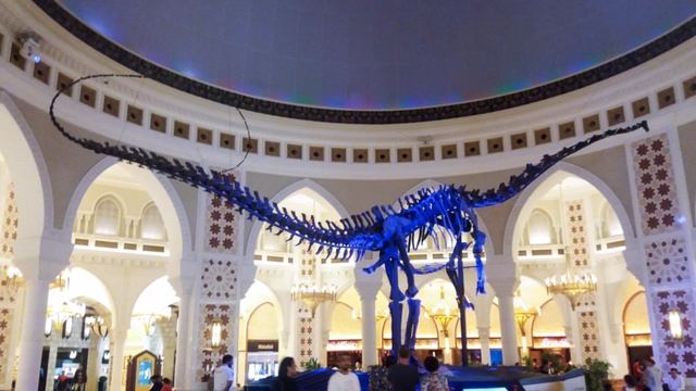 Эмираты. Дубай Малл. 10. 2016 г. смотреть онлайн