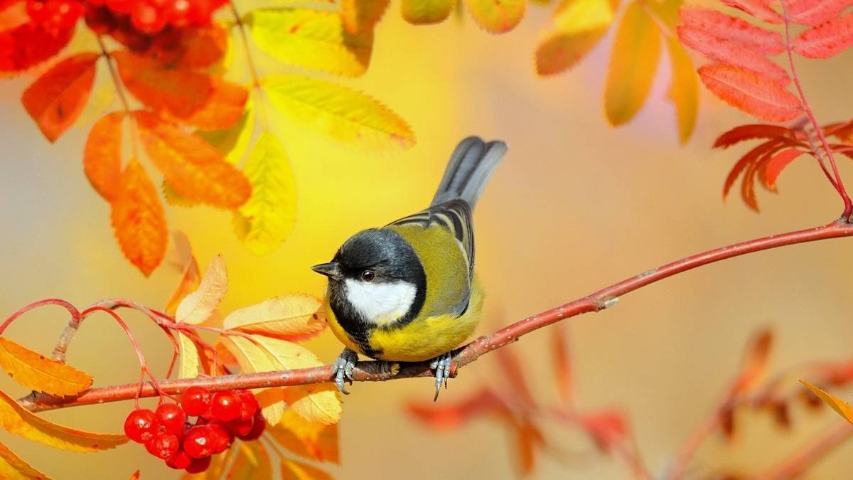 Вот и лето прошло, Александр Суханов