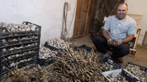 УЧАТ ЖИЗНИ,ОТПОР ХАМСТВУ/ДЕНЬГИ НА ВЕТЕР,ОТДАЛА В РЕМОНТ/НЕ УСПЕВАЕМ