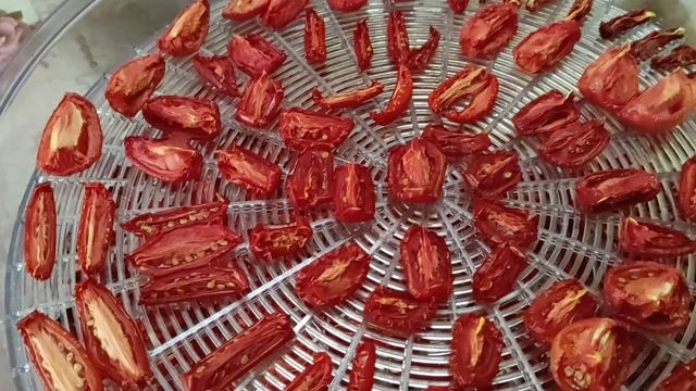 ПРОДОЛЖАЕМ ВЯЛИТЬ ПОМИДОРЫ. ЗАГОТОВКИ на зиму!  #вяленыепомидоры #электросушилка#заготовки #томаты