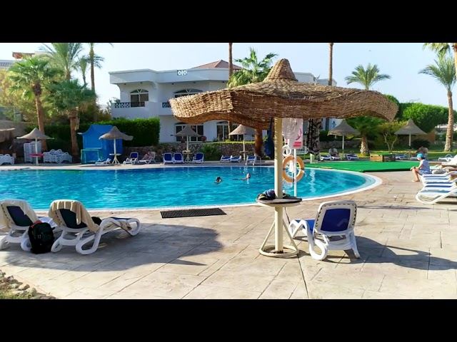 Tropitel Naama Bay ЗНАМЕНИТЫЙ ОТЕЛЬ В ШАРМЕ ЕГИПЕТ