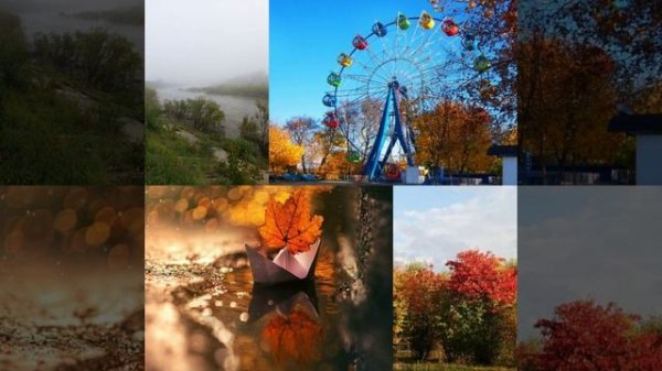 Необычная осень (mp3cut.net) (online-video-cutter.com)