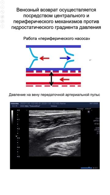 Венозный возврат