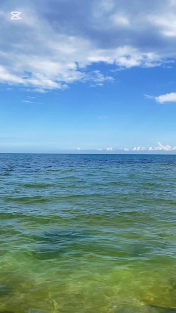 Сказка, в которой мы живем…