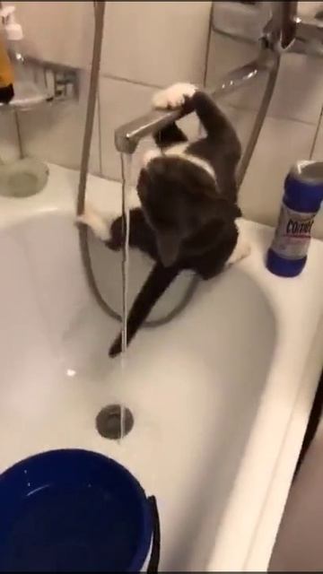 Триллер в ванной