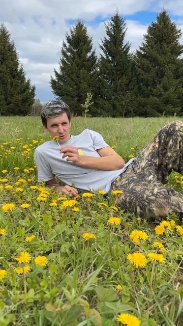 Дачный приговор 😂 смотреть онлайн