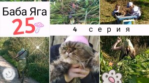 Баба Яга и Детишки. 4 серия.