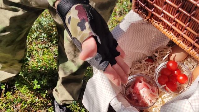 220 вольт в Ниве: Электричество там, где его нет! Обзор инвертора Hasvik Former Strom для выживания.