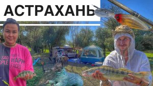 Рыбалка в Астрахани, Мой Трофейный Судак, Сазан на Закидушки, Ловим на Фидер. 2 часть