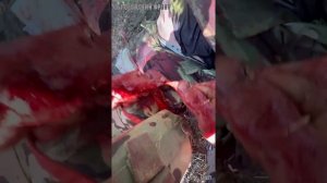 Боец с позывным «Кизовский» на Запорожском направлении показал работу эвакуационной группы под огнём