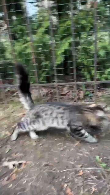 Жизнь без интернета 😁 смотреть онлайн