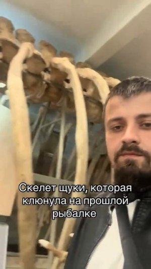 Скелет Щуки 🎣