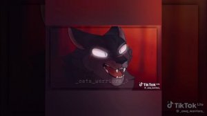 коты воители в тренде