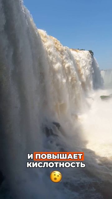 Вы когда-нибудь задумывались, какой чай может быть опасным для вашего здоровья?