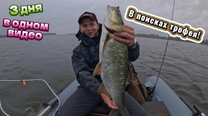 ЖЕРЕХ! ТРИ ДНЯ в поисках ТРОФЕЯ!