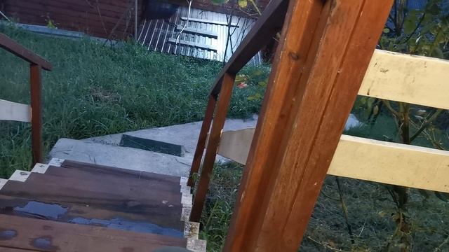 СОЧИ ГОРНОЕ ЛОО УТРО 13.09.2025 смотреть онлайн