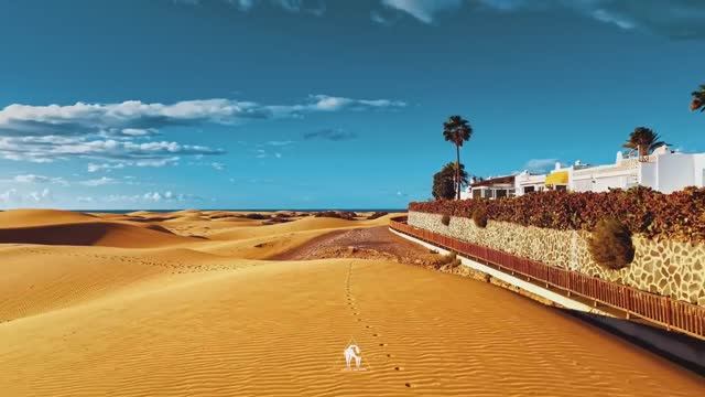 Cafe De Anatolia – Andalusia | Best Andalusian, Spanish & Arabic Music (DJ Mix 2025) смотреть онлайн