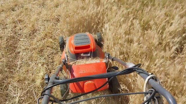 Косилка бомбит траву гораздо выше себя! смотреть онлайн