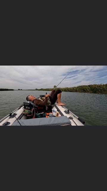 Последний летний день на реке Маныч! #маныч #окунь #рыбалка #фишмир смотреть онлайн