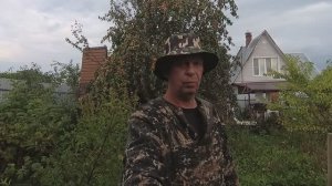 Как избавиться от яблоневого долгоносика. -  Супер метод.