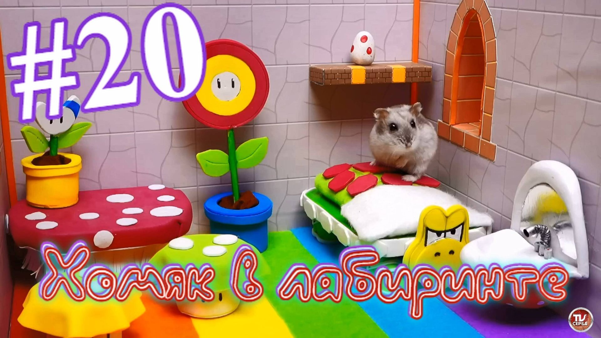 Хомяк в лабиринте (20 серия) смотреть онлайн