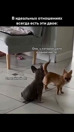 Зато весело😂