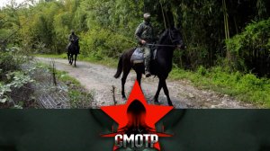 Как охраняется граница у главного курорта России? | «Смотр»