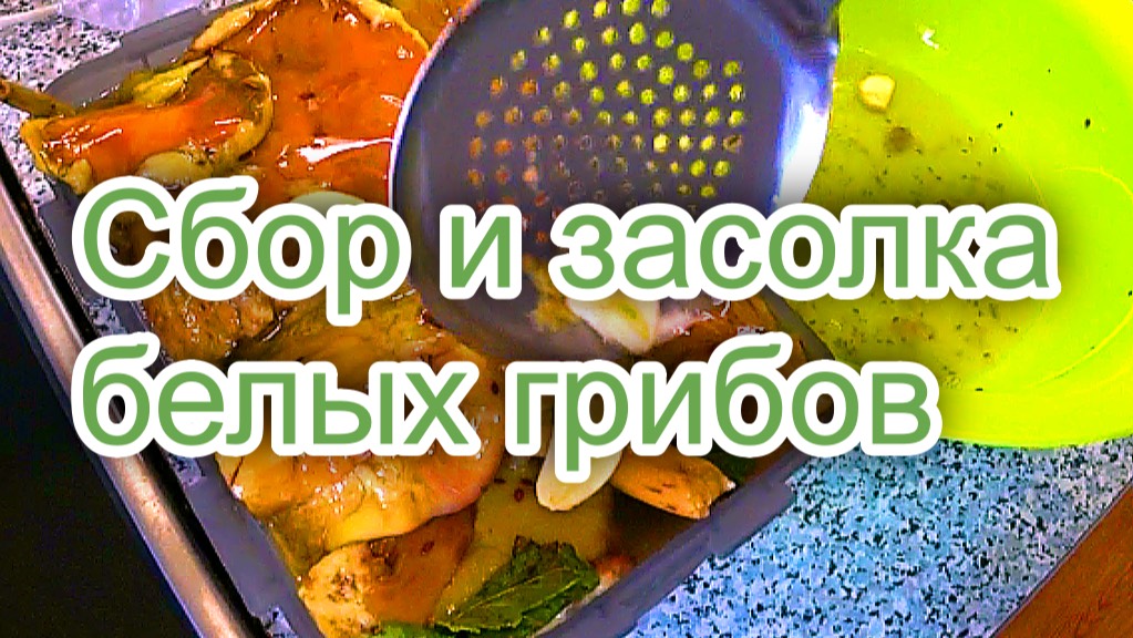СБОР И ЗАСОЛКА БЕЛЫХ ГРИБОВ