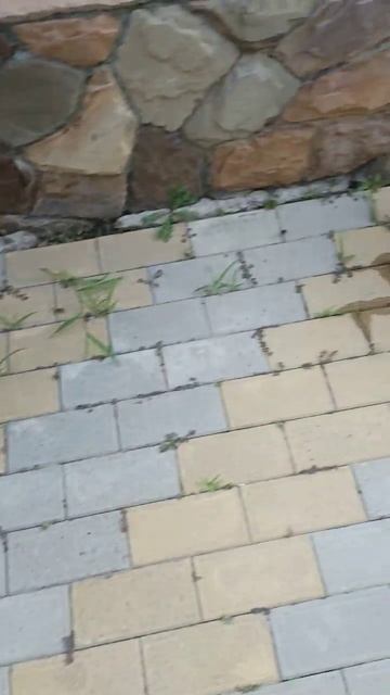 необычные горшочки для цветов.mp4