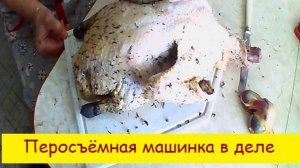 Перосъёмная машина в деле .