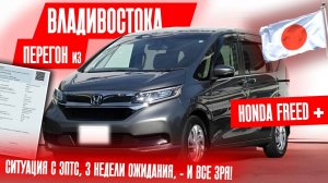 ИСТОРИЯ ОДНОГО ПЕРЕГОНА, МОИ «серые» БУДНИ - Honda Freed+