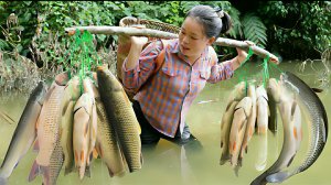 Сбор рыбы, и продажа ее на сельском рынке. Жизнь во Вьетнаме