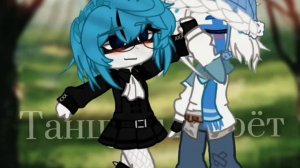 Кредо мое | шип