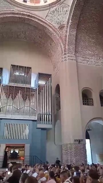 Арган.mp4 смотреть онлайн