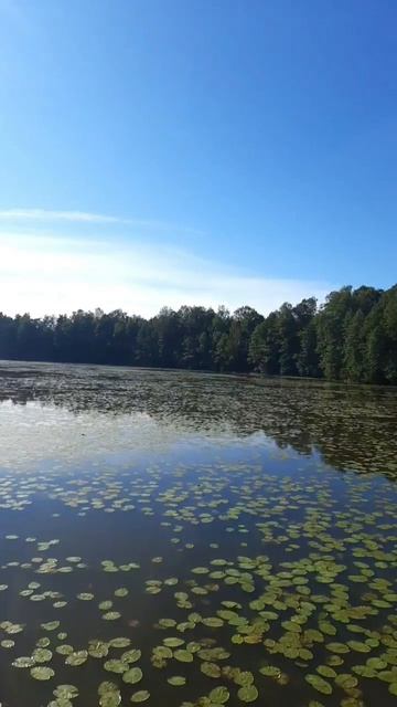 Покрово-Введенский храм, Владимирская,область, храм на острове смотреть онлайн