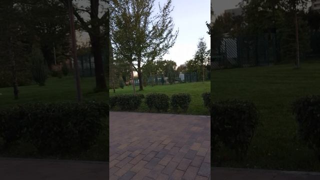 Нечего делать