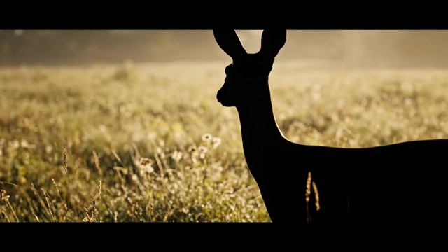 13-09-2025 смотреть онлайн