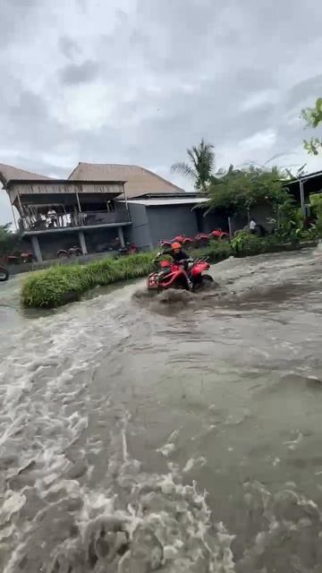 У меня змея на шее 😂 смотреть онлайн