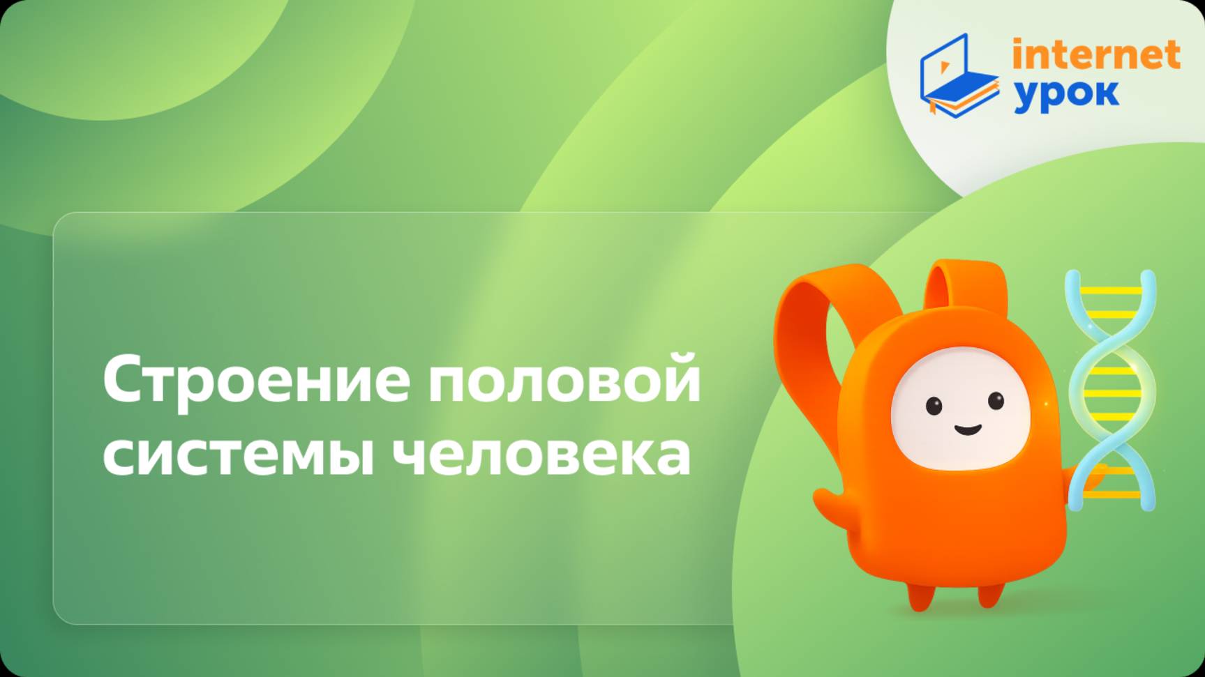 Биология 8 класс. Строение половой системы человека