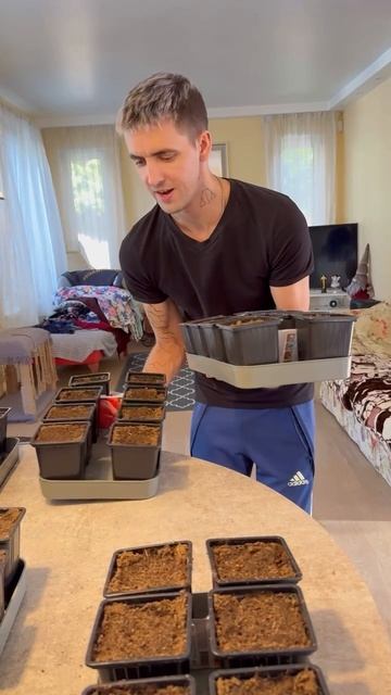 Огородник 😂 смотреть онлайн