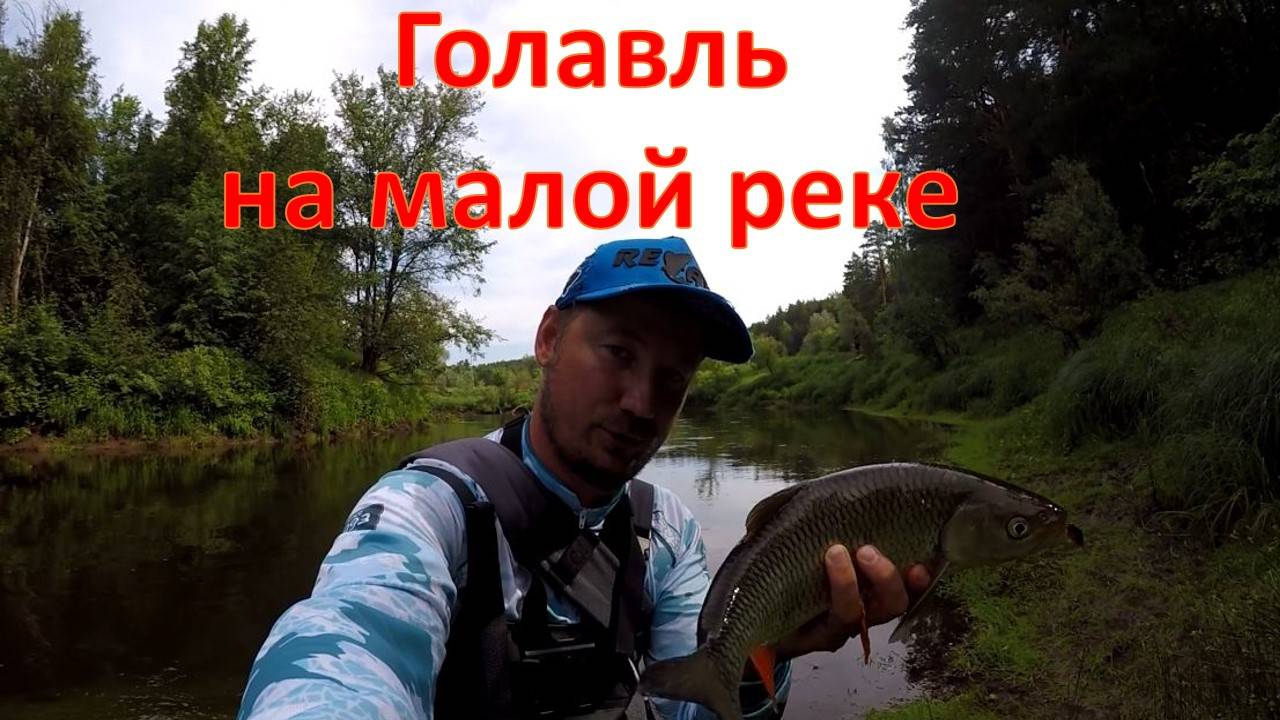 Ловля крупного голавля на малой реке